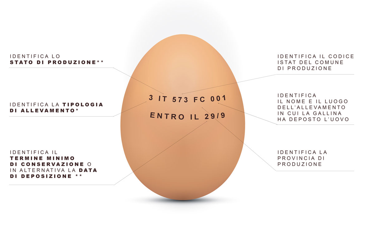 Identificativi uovo