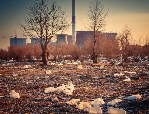 Quali sono le principali minacce alla biodiversità